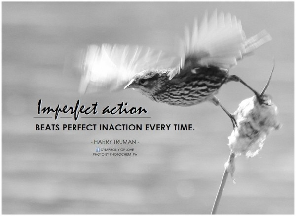 Imperfect action beats perfect inaction every time